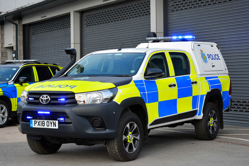 Illustration for article titled Our plod got a new motor.